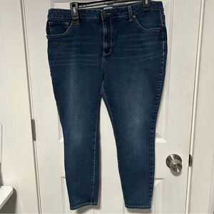 Time and Tru Women's Skinny Jeans - Dark Blue Size 18 Short